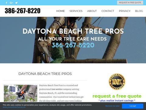 Daytona Beach Tree Pros