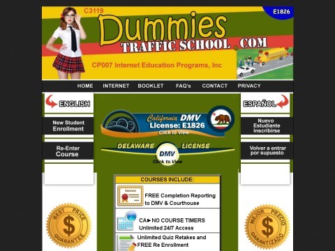 Dummies Traffic School