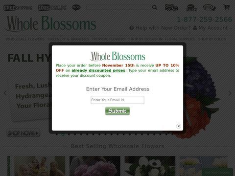 Wedding Flowers | WholeBlossoms.com