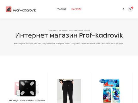 Prof-Kadrovik - Russian recruitment agency