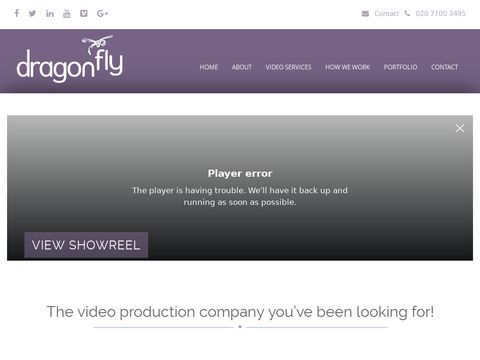 Dragonfly Digital Video Services