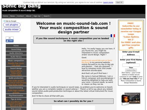 Sonic Big Bang - Music composition