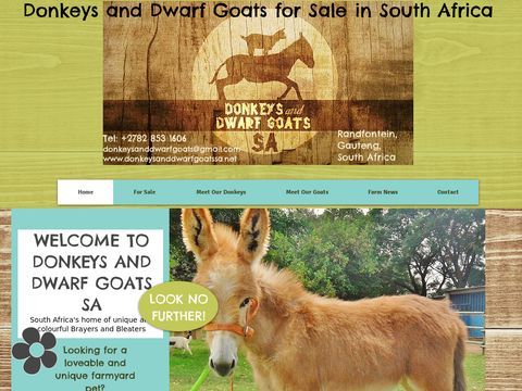 Donkeys and Dwarf Goats SA