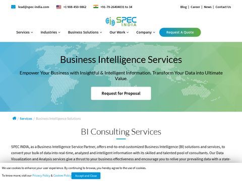 Business Intelligence Services 