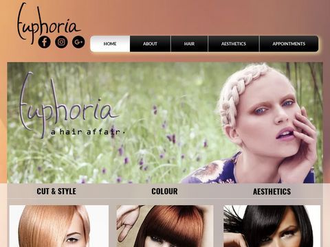 Euphoria Hair Concept