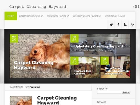 carpetcleaning-hayward.com
