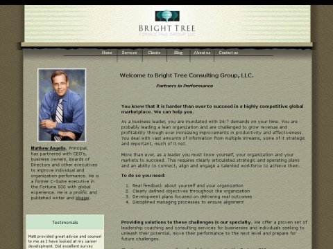 Bright Tree Consulting Group, LLC - Executive coaching, assessment, and consultation for businesses