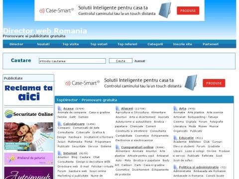 Director web Romania. SEO Publicitate Page Rank