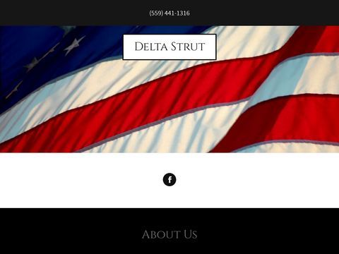 Delta Strut LLC