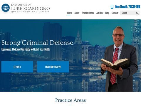 Criminal Defense Attorney