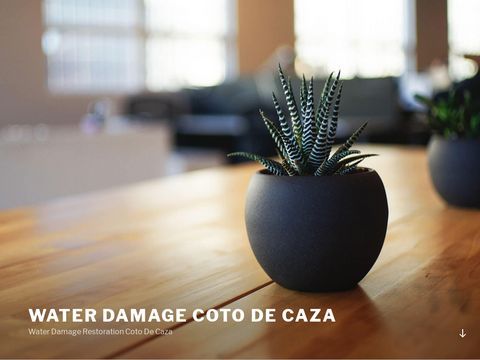 Water Damage Coto De Caza