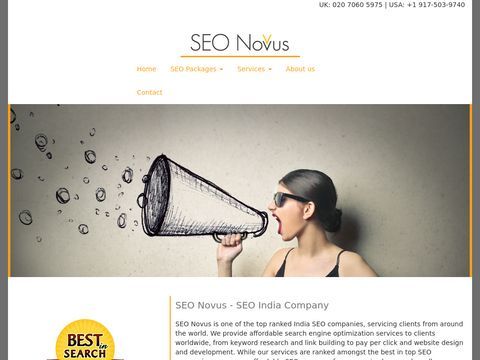 seonovus is best,cheap seo services firm and having search engine optimization specialist in  india.