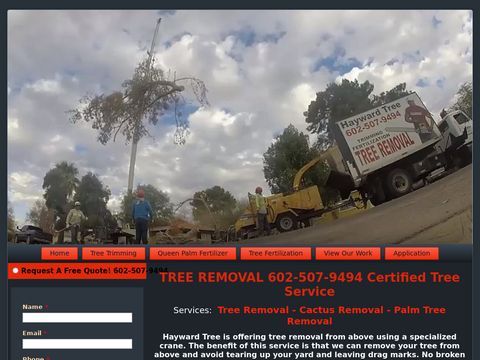 Phoenix Tree Service Hayward | Phoenix Tree Trimming