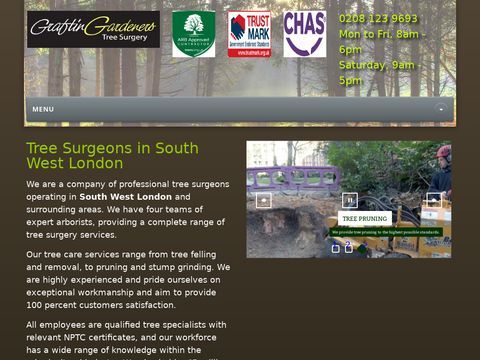 Tree Surgeons South West London