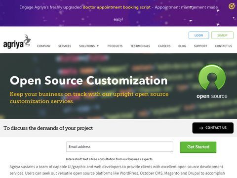 WordPress Customization Services