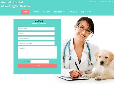 Professional Dog Care | Best Veterinarian Clinic FL | Animal hospital Wellington | Mywellingtonvet.com