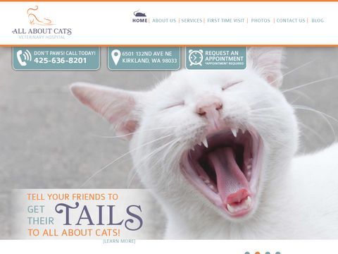 All About Cats Veterinary Hospital