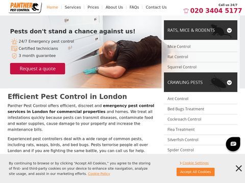 Pest Control in London