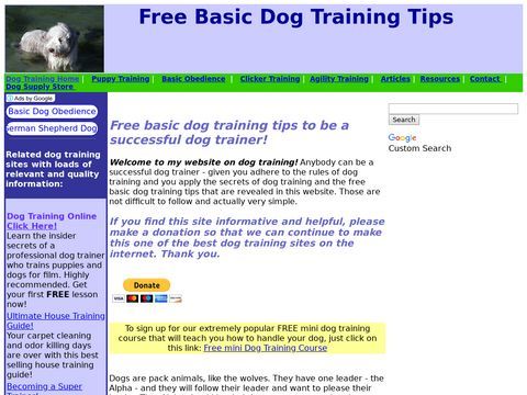 How to Train a Dog Successfully