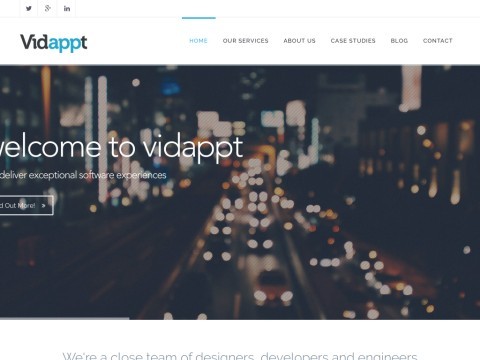 Software Development and Mobile Solutions Company Vidappt