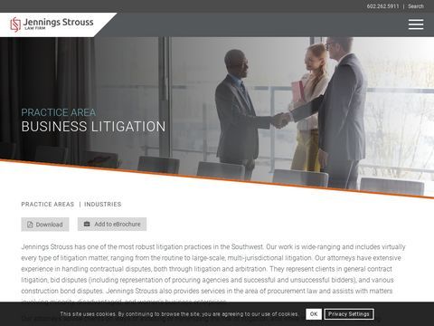 Business Litigation Attorney