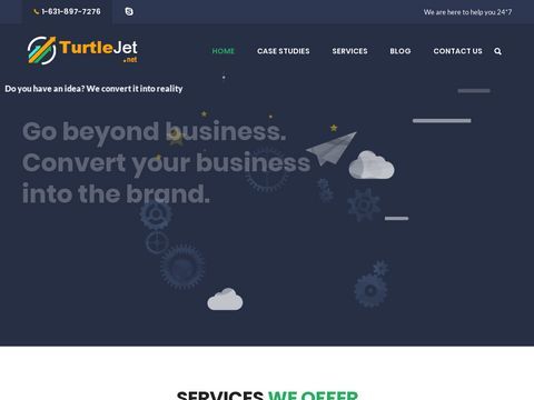 Web  Development Company: TurtleJet