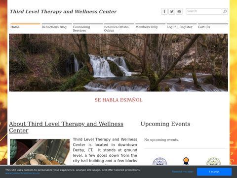 Third Level Therapy and Wellness Center