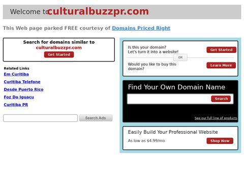Cultural Buzz Integrated Marketing Strategy