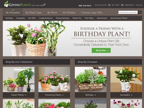 Birthday Plants