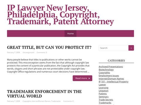 New York Litigation Attorney