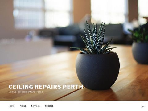 Ceiling Repairs Perth