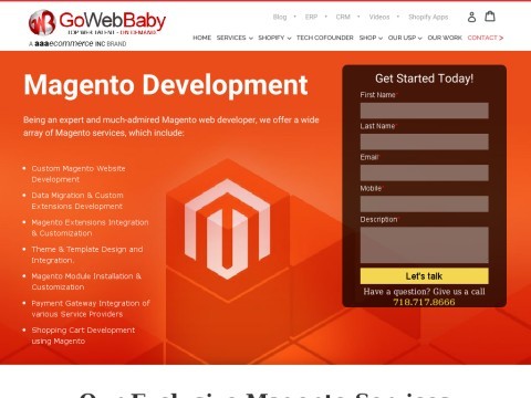 GoWebBaby Magento Web Developer