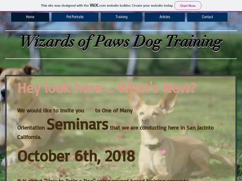 Wizards of Paws Dog Training