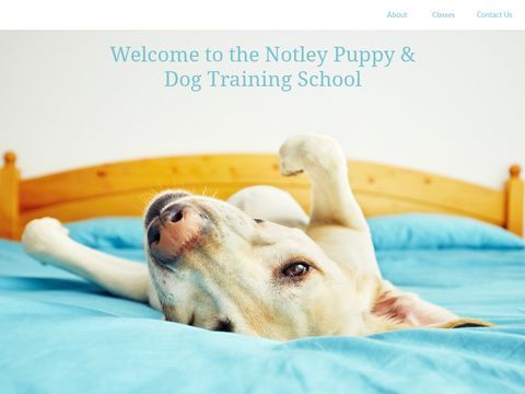 Notley Puppy and Dog Training School