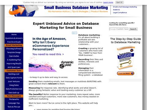 Database Marketing and Email Marketing Strategy Advice for the Small Business
