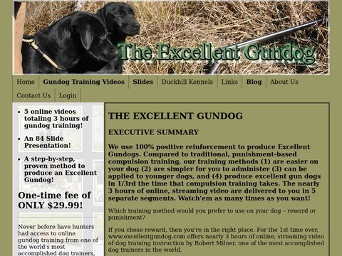 Excellent Gun Dog