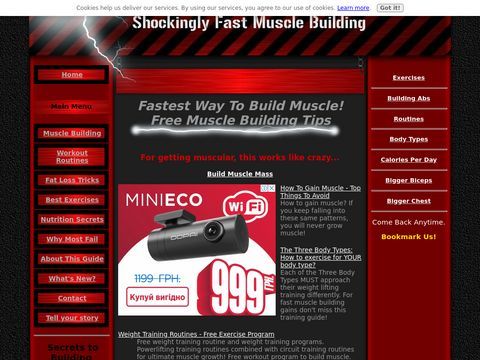 How2muscleguide: Muscle Building Tips 