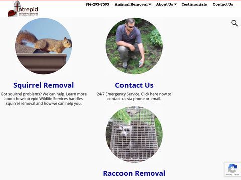 SMALL ANIMAL REMOVAL WESTCHESTER COUNTY