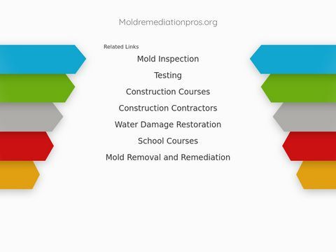 Mold Remediation Pros - Los Angeles