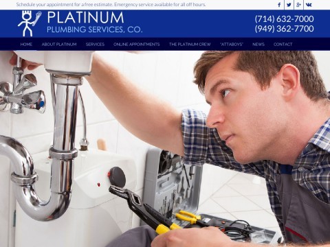 Platinum Plumbing Services, Co.