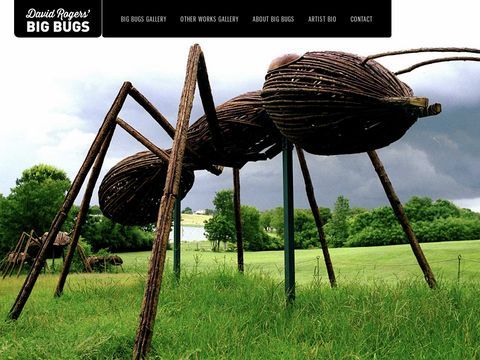 David Rogers Big-Bugs