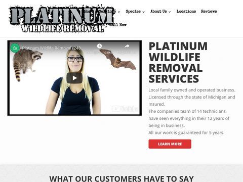 Platinum Wildlife Removal