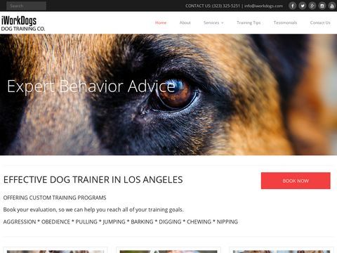 iWorkDogs Dog Training Co.