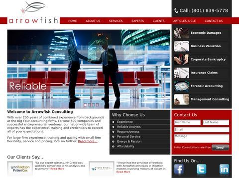 Arrowfish Consulting