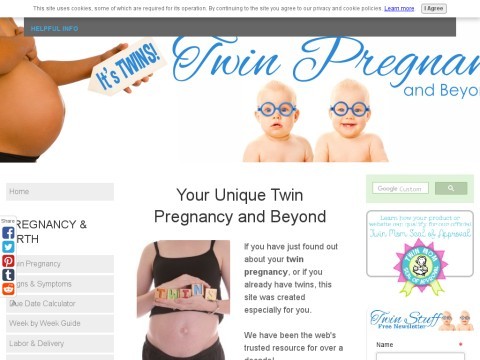 Twin Pregnancy And Beyond