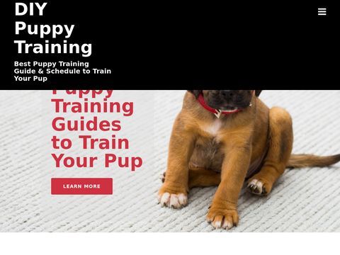 DIY Puppy Training