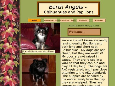 Earth Angels - Chihuahuas & Papillons