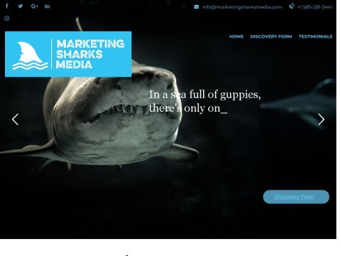 Marketing Sharks Media