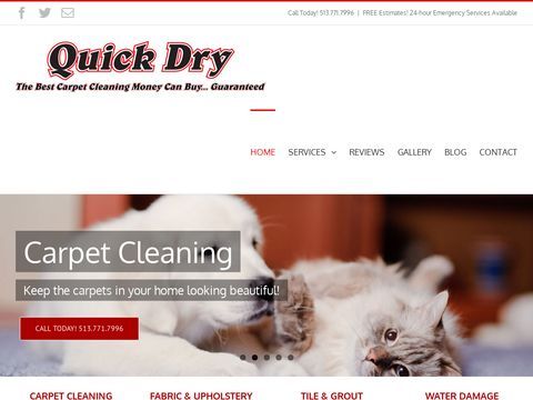 Quick Dry Carpet Cleaning