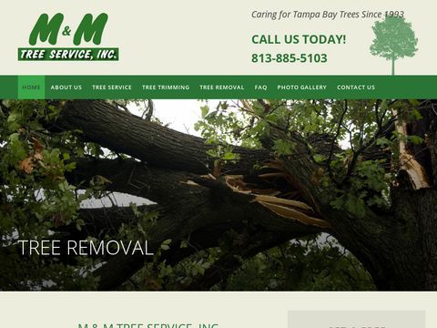 tree services tampa